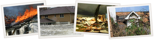 Water damage repair and reconstruction